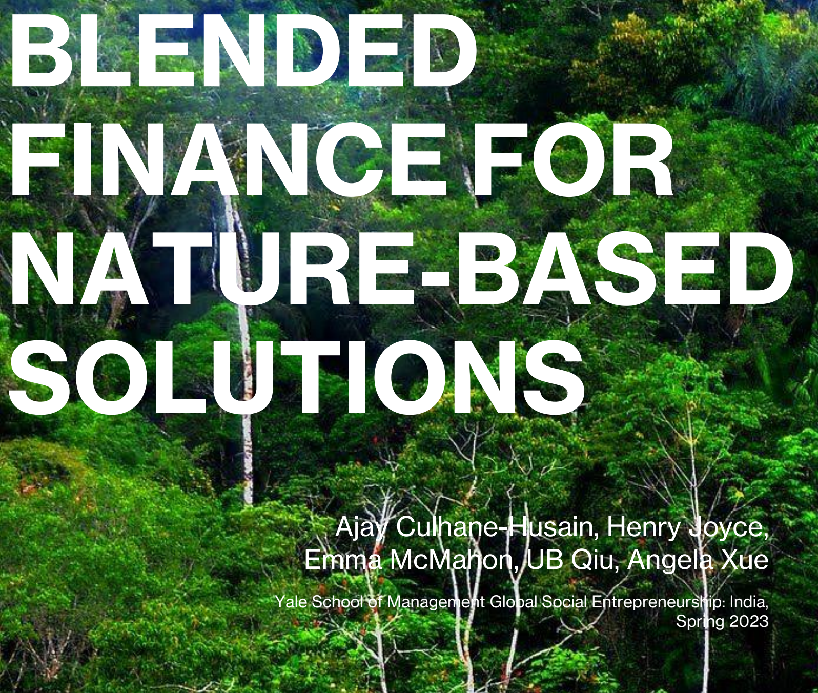 Blended Finance for Nature-based Solutions - Yale University / Hasten